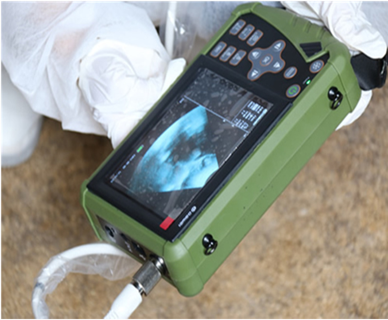 WMV-200BWP  Veterinary B/W Palm Ultrasound Scanner
