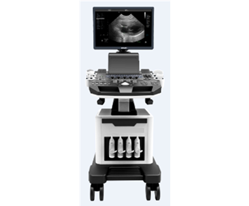 WMV-300BWT Veterinary B/W Trolley Ultrasound Scanner