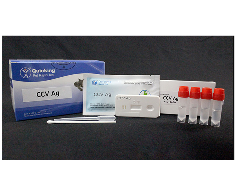 CCV Ag Rapid Test