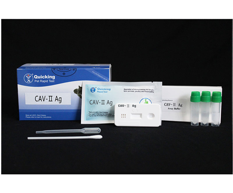 CAV-II Ag Rapid Test