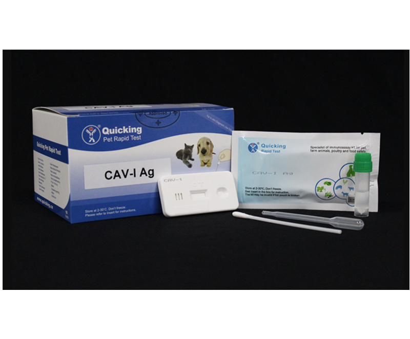 CAV-I Ag Rapid Test